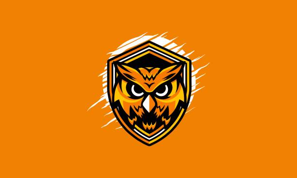 Orange Owl T-shirt Design Illustration Download with the EPS file for any scalable or editable needs. unconventional wisdom stock illustrations