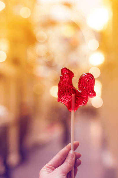 Close up sugar lollipop cock on blurred background . Russian traditional candy.