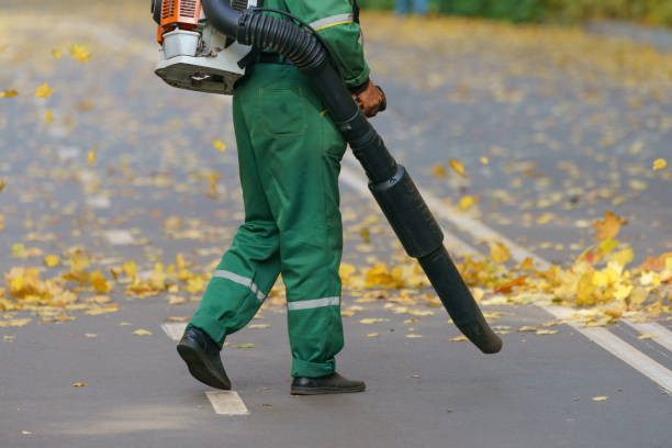 istock Leaf blower usage in autumn in the city park 1180004827