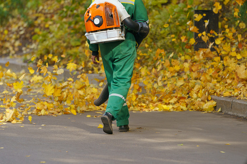 Cleaning falling leaves on a city street in the autumn dry time. Using leaf blower for cleaning of the road in the park. Seasonal occupation concept.