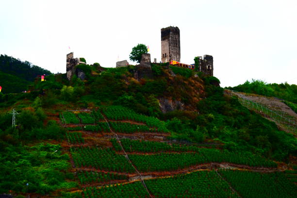 istock ruin in the vineyards, Metternich 1180009569