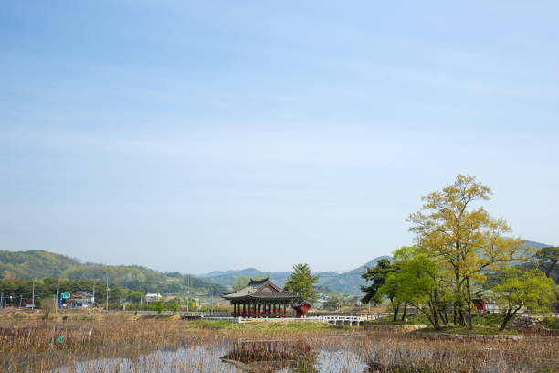 istock Yudeung Lotus Pond 1180009672