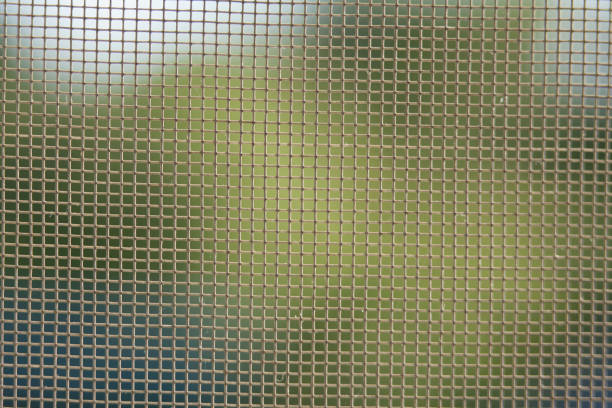 istock Abstract picture through mosquito net, for background 1180011166
