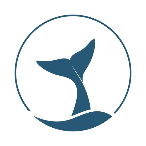 логотип китового хвоста - mammals stock illustrations