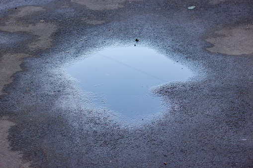 Drops of rain water on a fresh asphalt in the sun.