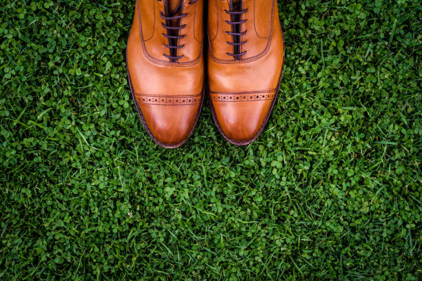 Elegant brown leather male shoes on a grass background stock photo