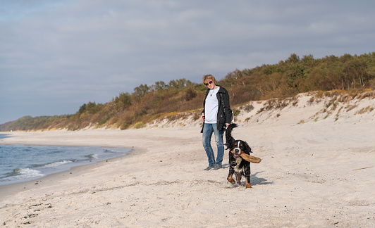55-years-old mature active, attractive woman walking her big dog, Zennenhund, on a sandy beach of the Baltic Sea in the sunny autumn day.