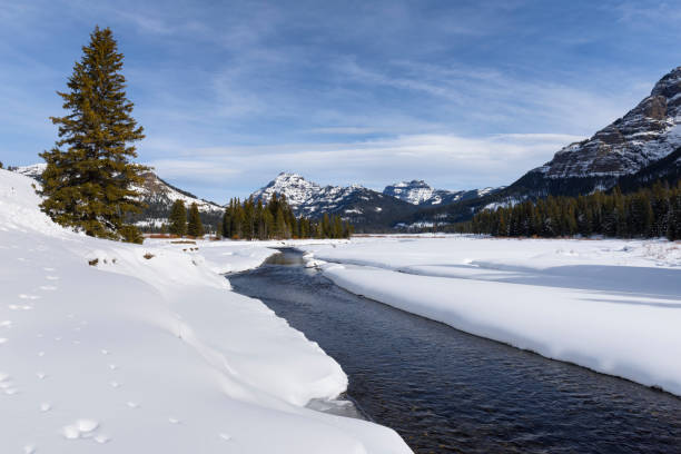 istock Creek Running through Snow Covered  Mountains - Yellowstone National Park 1180021422