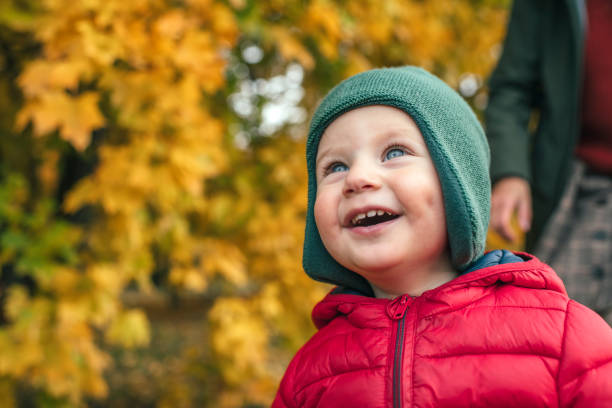 Toddler having fun in nature in fall