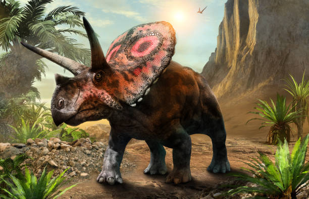 torosaurus aus der kreidezeit 3d-illustration - geologic time scale stock-fotos und bilder
