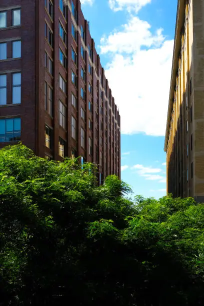 Photo of View of two brick buildings, trees and blue sky from The High Line, New York City.