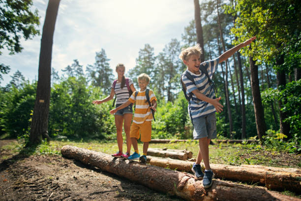 istock Little hikers walking on a tree trunks  in forest 1180026224