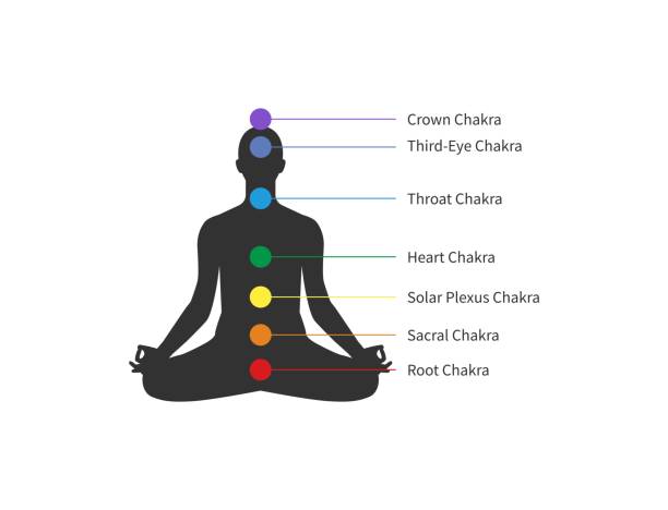 ilustrações, clipart, desenhos animados e ícones de sete chakras, assento humano no pose dos lótus, meditação. ilustração do vetor - vishuddha