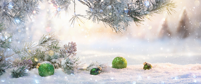 Winter Sunny Landscape with Spruce Branches. Christmas Decoration