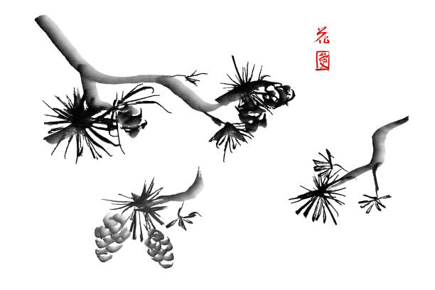 istock Set of pine brunches hand-drawn with ink in traditional Japanese style sumi-e. Image contains hieroglyphs 