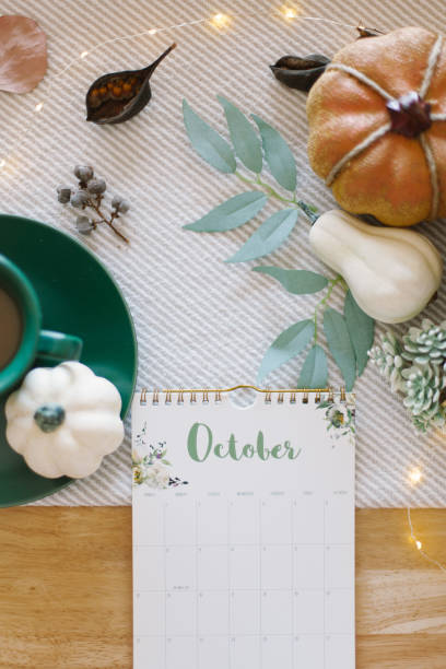 istock Autumn table decoration with pumpkins and eucalyptus leaves 1180028775