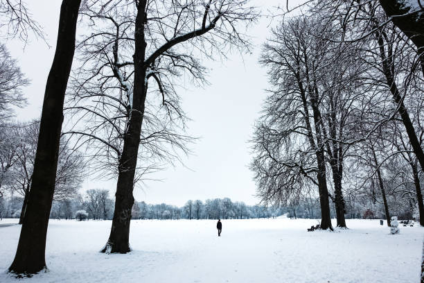 istock Idyllic Winter Nature Snowscape with Trees 1180029509
