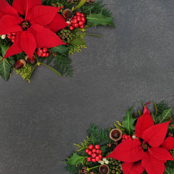 istock Poinsettia Flower Thanksgiving Border 1180029618