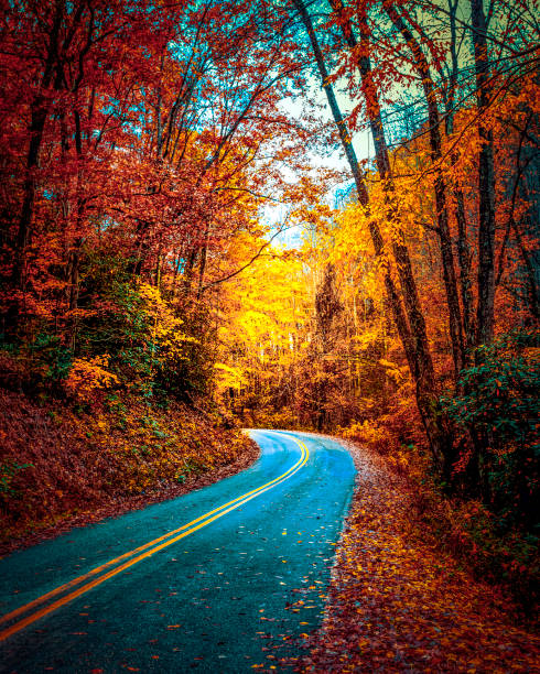 autumn country road che si snoda attraverso le montagne appalachi con colori foglia d'autunno - scena rurale - backwoods foto e immagini stock