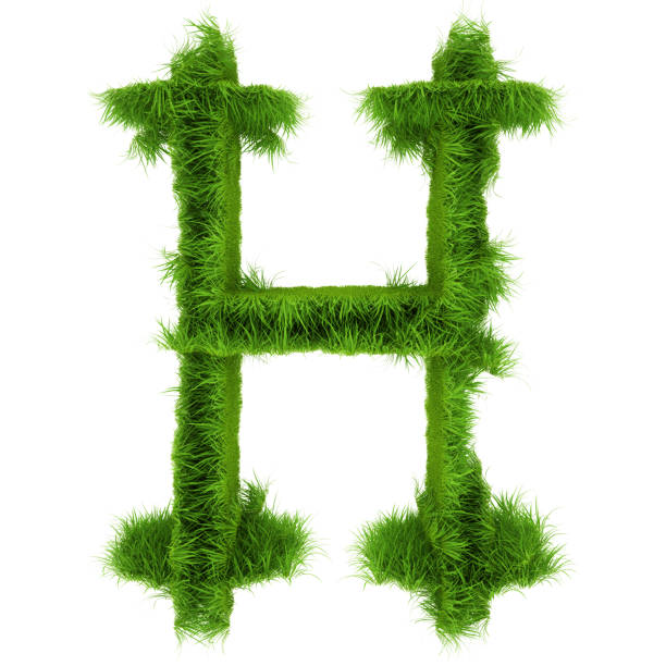 istock Letter H made of green grass isolated on white. 3d rendering 1180037324