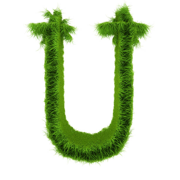 istock Letter U made of green grass isolated on white. 3d rendering 1180038058