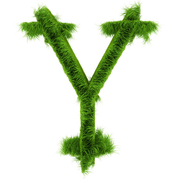 白に隔離された緑の草で作られた文字y。3d レンダリング - letter y alphabet three dimensional shape green ストックフォトと画像