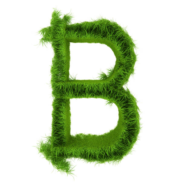 istock Letter B made of green grass isolated on white. 3d rendering 1180038190