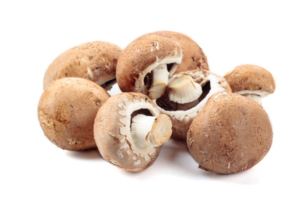 istock Fresh mushrooms champignon. Isolated  on a white background. 1180038548