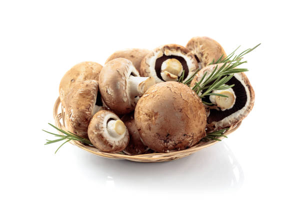 Fresh mushrooms champignon. Isolated  on a white background. Fresh brown mushrooms champignon. Isolated  on a white background. basket healthy eating vegetarian food studio shot stock pictures, royalty-free photos & images