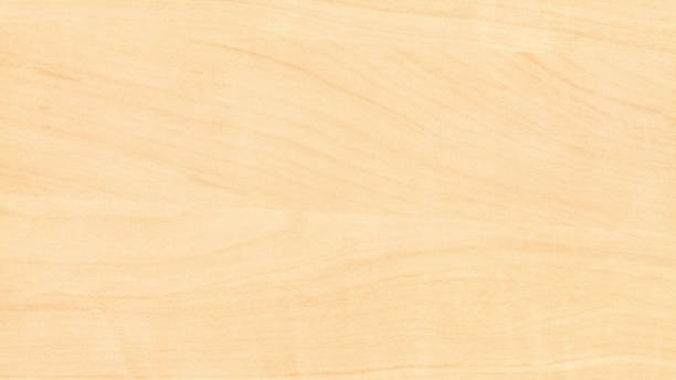 istock laminate plank with pattern of birch wood 1180039036