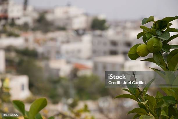 Árvore De Limão E Cidade Na Margem Ocidental - Fotografias de stock e mais imagens de Agricultura - Agricultura, Ao Ar Livre, Cidade Pequena