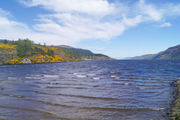 Loch Ness near Fort Augustus in the Scottish highlands Loch Ness is the most famous loch in Scotland fort augustus stock pictures, royalty-free photos & images