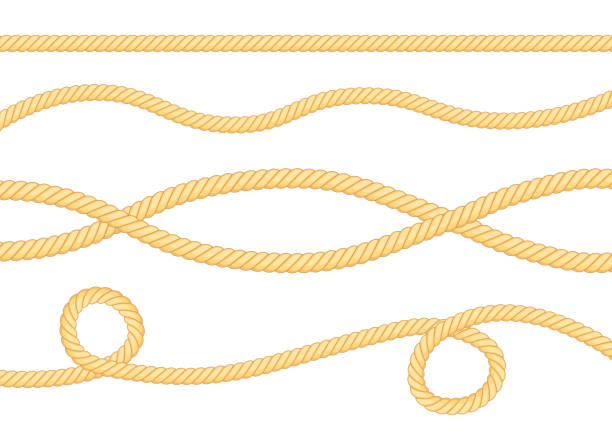 Set of different thickness ropes isolated on white. Vector illustration. Set of different thickness ropes isolated on white. Vector stock illustration. rope tied knot string knotted wood stock illustrations