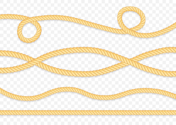 Set of different thickness ropes isolated on white. Vector illustration. Set of different thickness ropes isolated on white. Vector stock illustration. rope tied knot string knotted wood stock illustrations