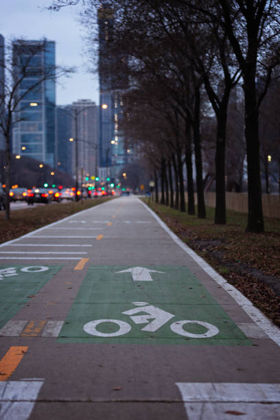 istock Bike Path in Chicago 1180054029