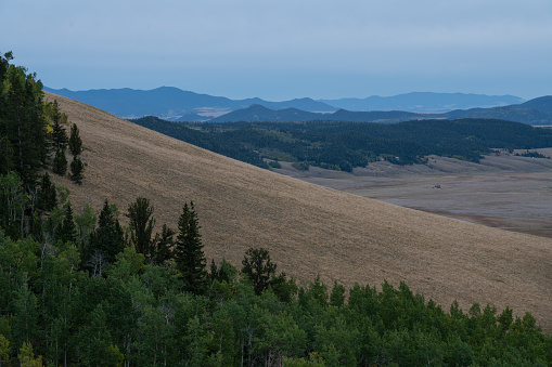 From along the Colorado Trail, just west of Kenosha Pass.
