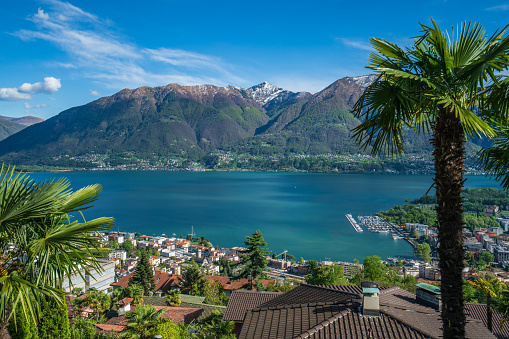 Spring view of lake maggiore surrounded by palms in Orselina, Switzerland