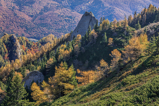 autumn forest in the Ciucas Mountains, Romania