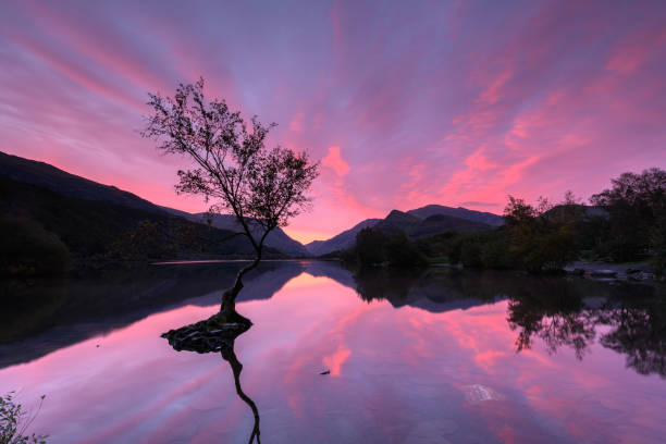 istock Sunrise in Snowdonia National Park 1180061010
