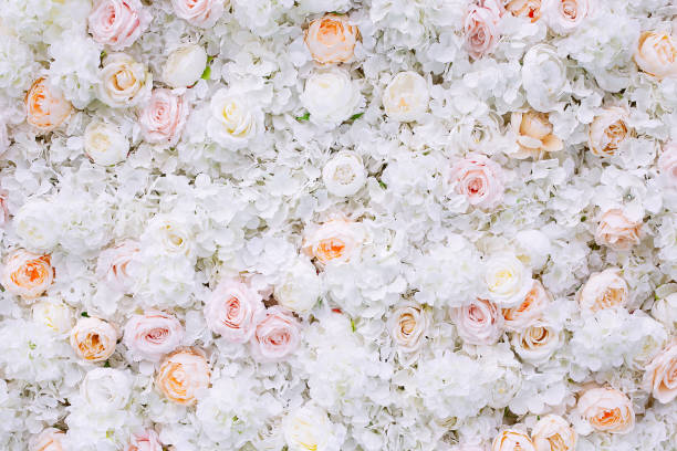 istock Flowers wall background with white and light orange roses. 1180061265