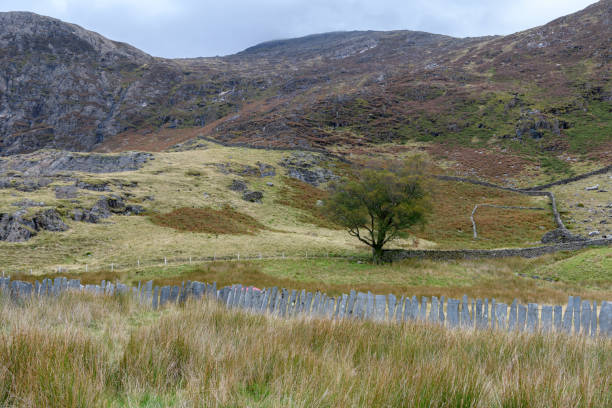 istock Snowdonia National Park Scenic Landscape 1180062398