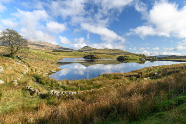 istock Snowdonia National Park scenic view 1180063970