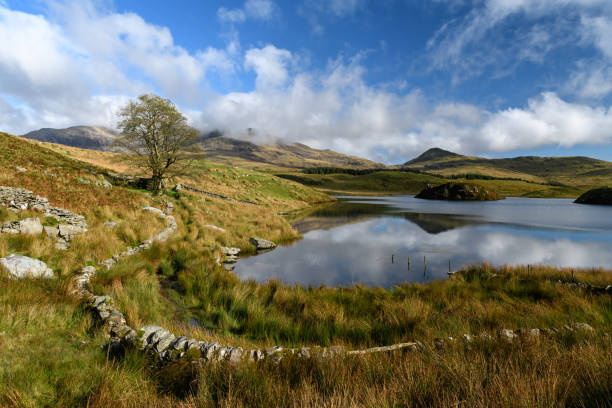 istock Snowdonia National Park scenic view 1180063976