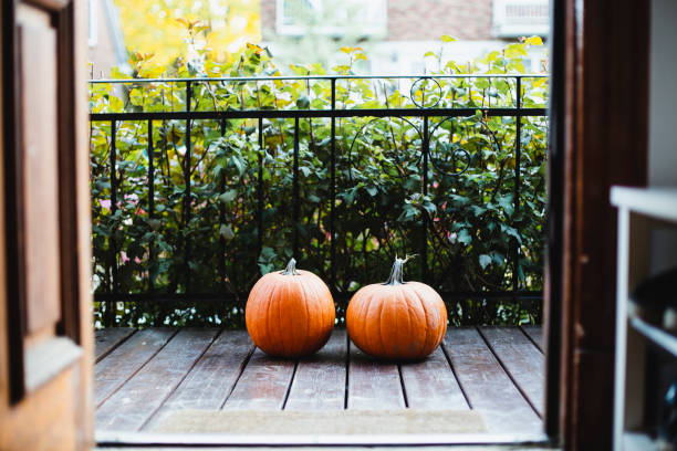 halloween, orange color, pumpkin, front stoop