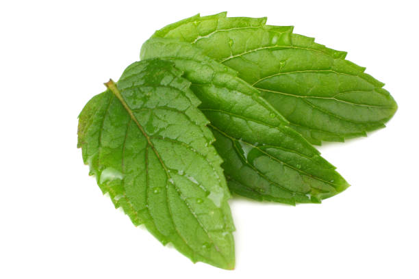 istock Fresh mint leaves isolated on white background. top view 1180068516