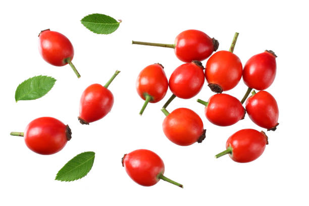 istock rosehip berries with green leaves isolated on white background. Top view 1180068774