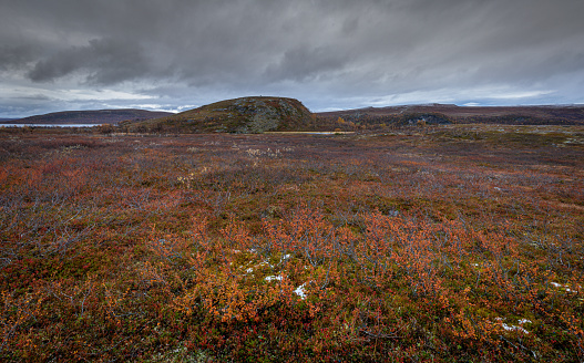 Cloudy evening in Norway tundra.