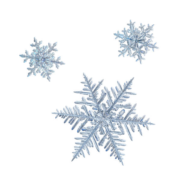 Real snowflakes isolated on white background stock photo