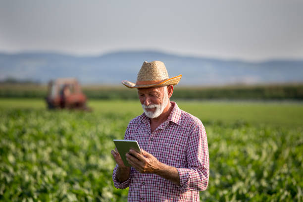 Farmer with tablet in soybean field
