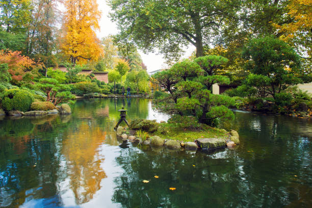 pond  in japanese garden , kaiserlautern. - kaiserslautern stock-fotos und bilder